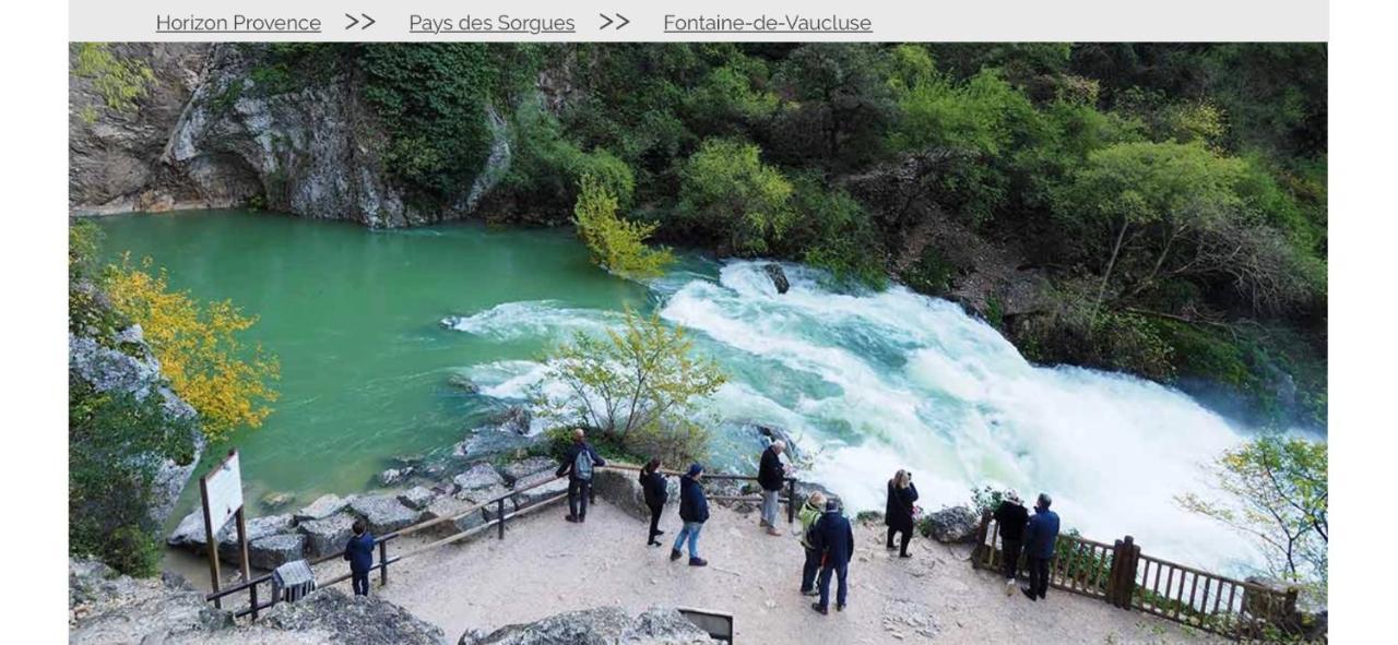 Villa Isle Sur La Sorgue Au Coeur De La Provence L'Isle-sur-la-Sorgue Luaran gambar